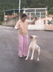 azale_mama