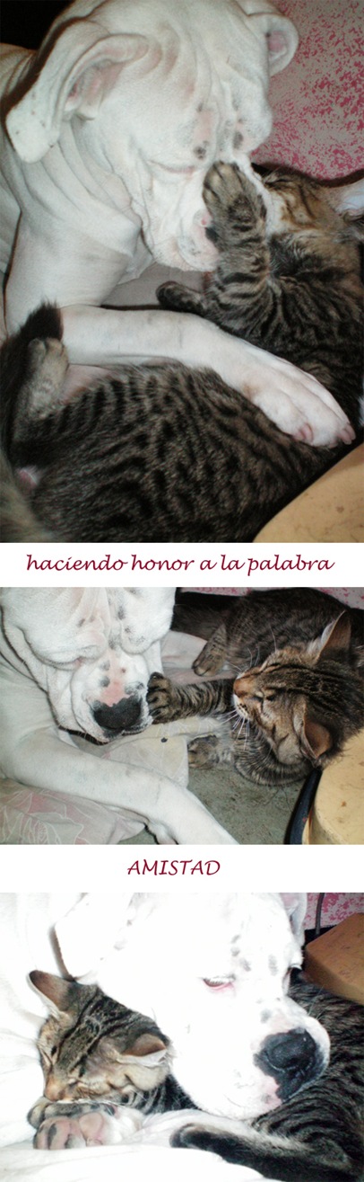 DIA_AMISTAD_1