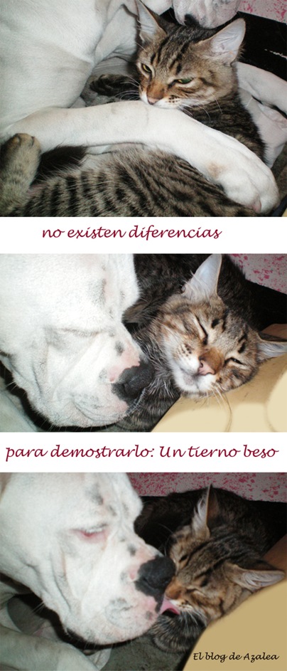 DIA_AMISTAD_2