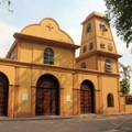 Palo Negro
