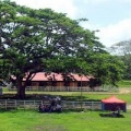 Foto de Yaracal