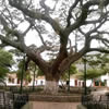 Plaza Bolívar de San Pedro del Río